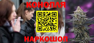 PSILOCYBIN Малгобек