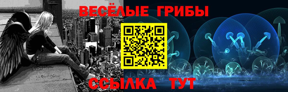 Псилоцибиновые грибы Psilocybe Железногорск