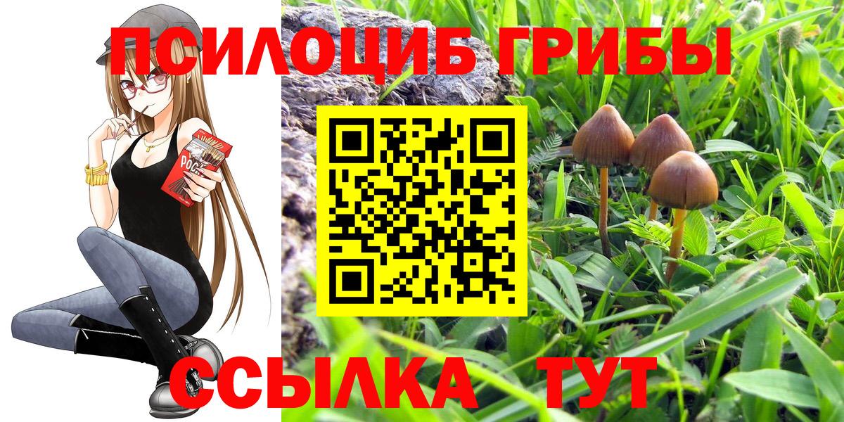 Псилоцибиновые грибы мухоморы  даркнет сайт  Железногорск  Вход с VPN 
